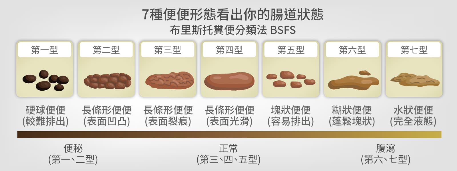 布里斯托糞便分類法，分七種類型，根據球狀形、長條型、水狀型等便便型態看出有無便秘、腹瀉的情況